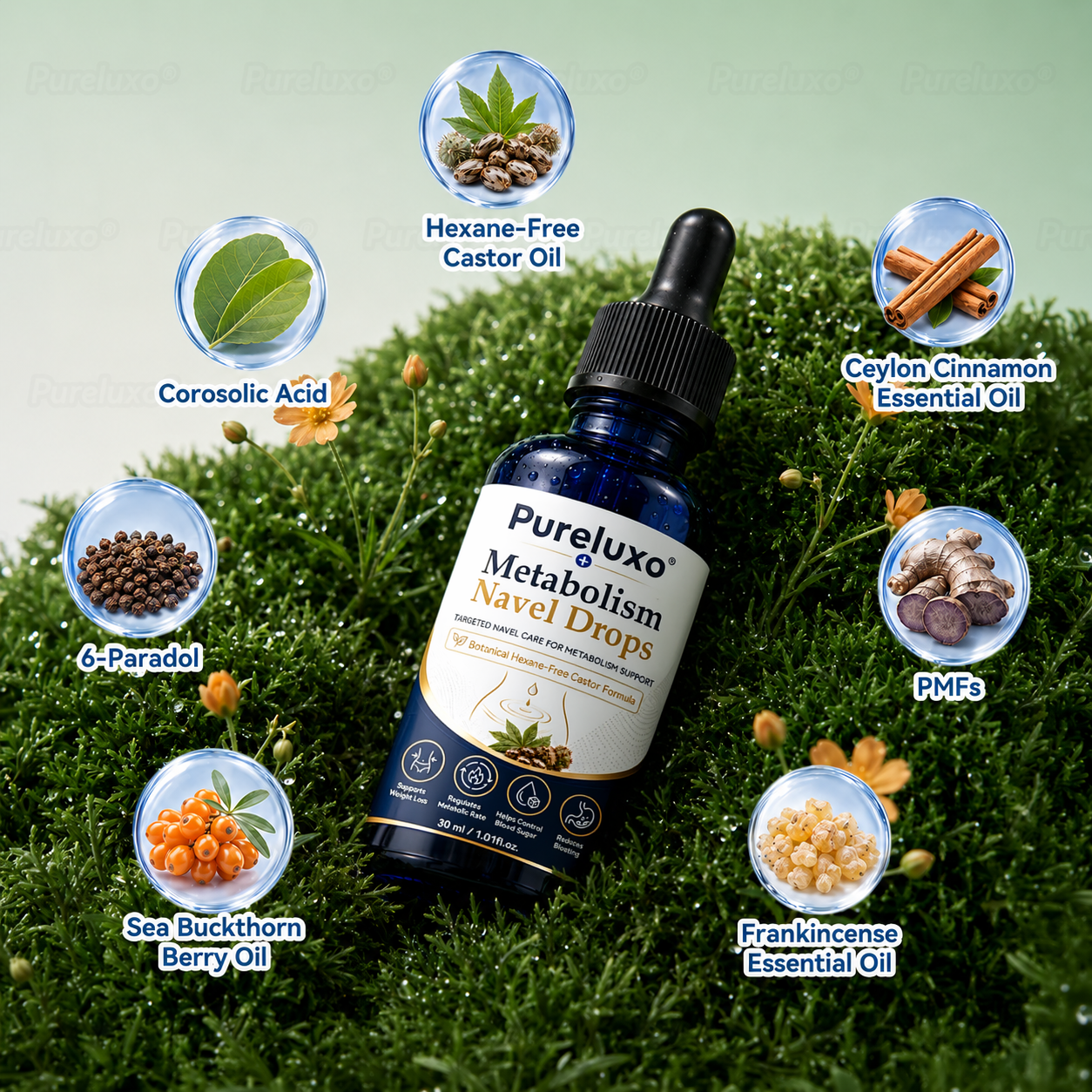 Pureluxo®🎁Metabolism Navel Drops